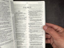 Biblia económicas RVR 1960 león
